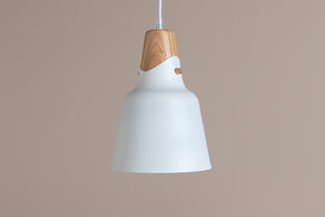 Pendellampe Zelo in Farbe von kommodly