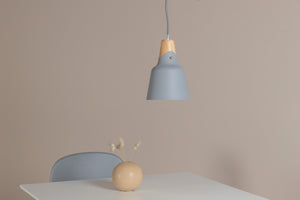 Pendellampe Zelo in Farbe von kommodly